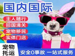 宁波空运代理国际宠物托运 【国